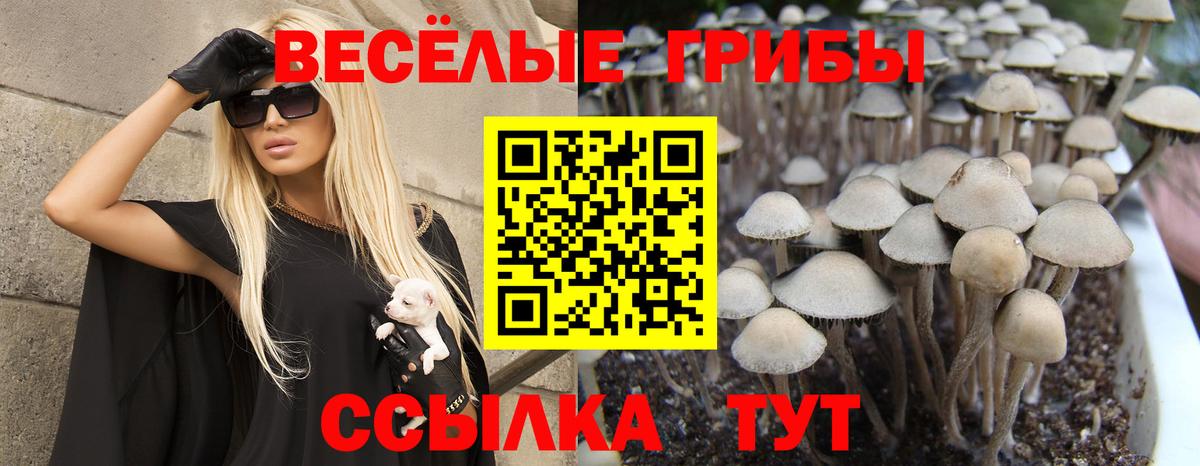 Галлюциногенные грибы мухоморы  купить закладку  Мегион  Вход с VPN  Псилоцибиновые грибы Magic Shrooms 